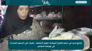 تراجع جديد في سعر الفراخ البيضاء اليوم الجمعة.. تعرف على السعر المحدث في بورصة الدواجن